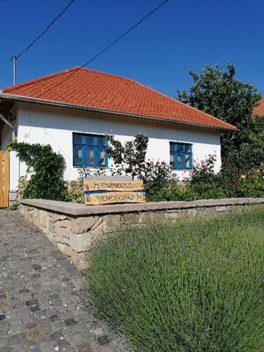 Csenduelo Vendeghaz Apartment Noszvaj Exterior foto